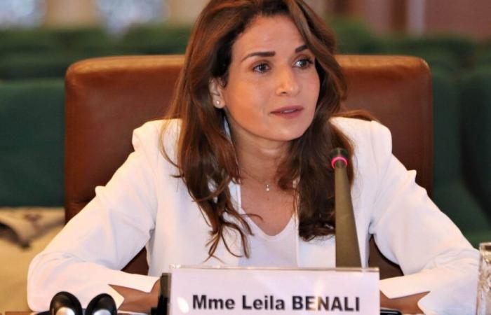 Morocco: Publication of electricity network tariff helps reduce energy bill (Benali)