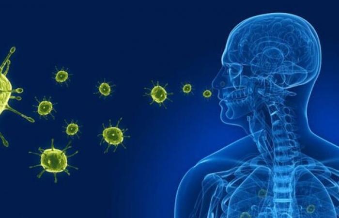 Reinforced surveillance of respiratory diseases at border crossings