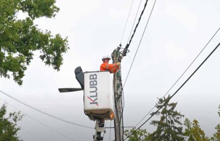 Storm Floriane: 3,700 Seine-et-Marne homes deprived of electricity