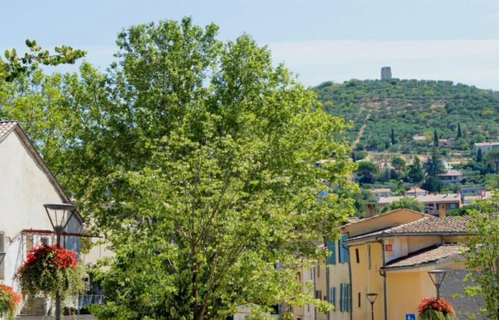 Demography: which municipalities in Alpes-de-Haute-Provence stand out?