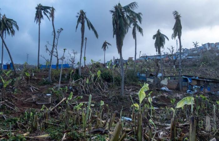 Three weeks after the cyclone, what is the environmental assessment of the damage in Mayotte?