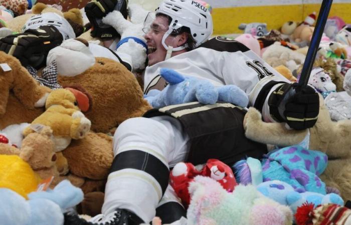 Ice hockey: 102,343 stuffed toys thrown in the middle of a match, the spectacular world record for the Hershey Bears