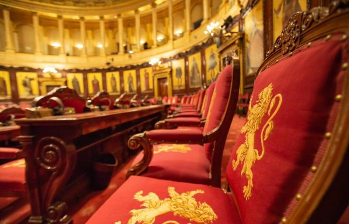 In Belgium, only French speakers keep the Senate alive