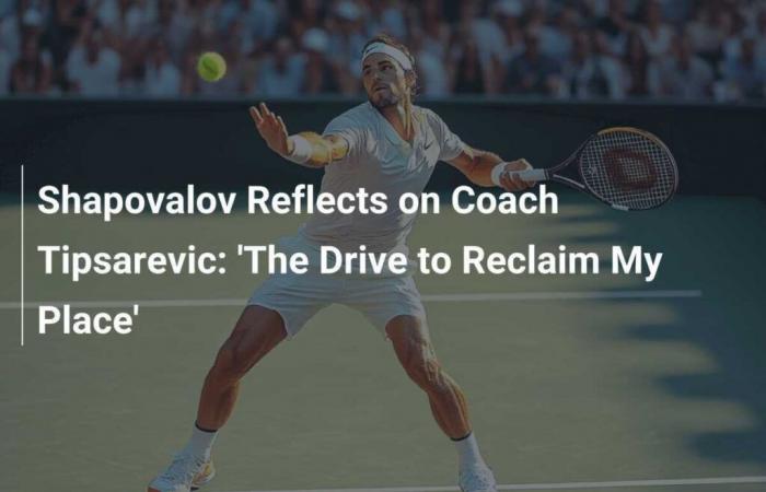 Shapovalov talks about his coach Tipsarevic: “The desire to find my place”