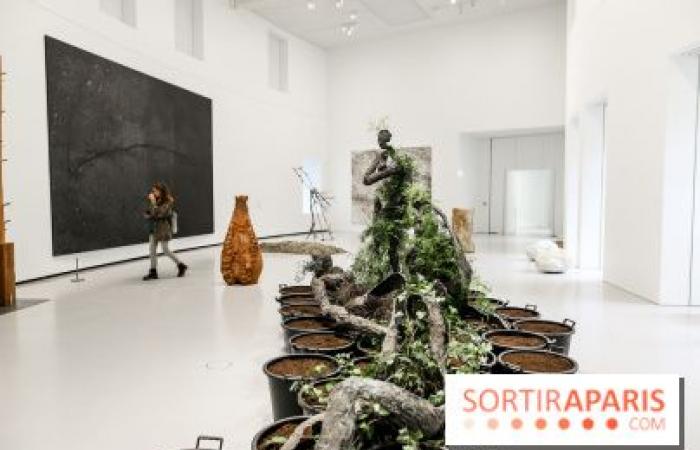 Arte Povera: the exhibition on the Italian artistic movement at the Bourse de Commerce – last days