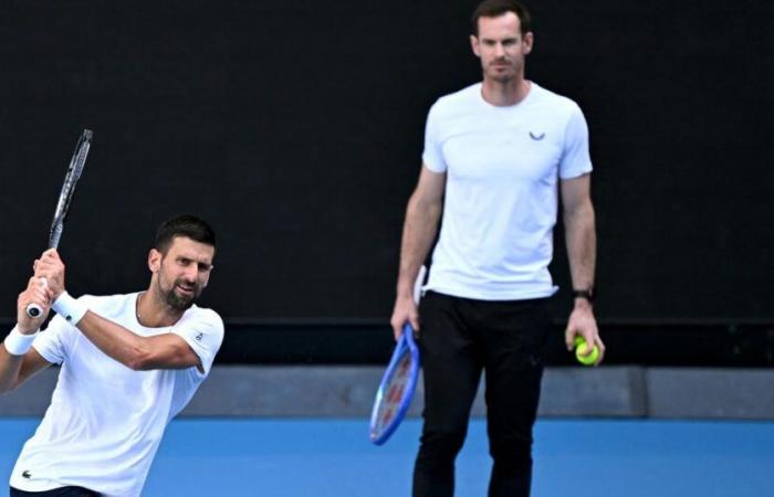 in video, the first training of the Djokovic-Murray duo in Melbourne