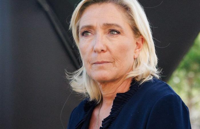 Marine Le Pen heard the news on the plane returning from Mayotte