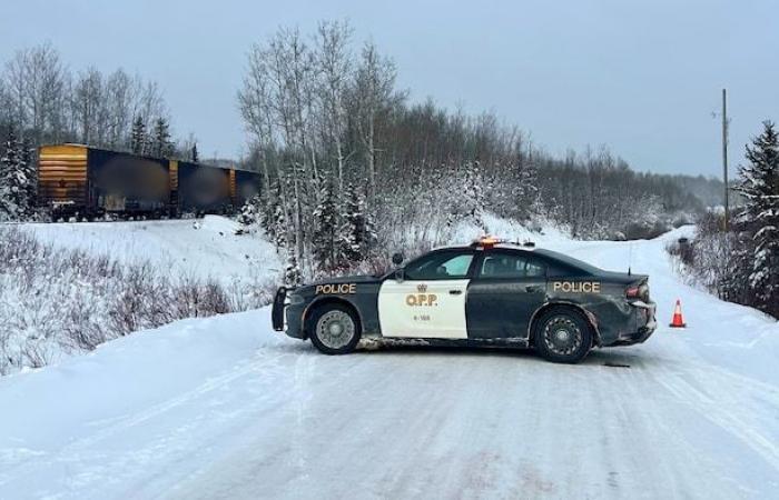 Fatal collision between train and van