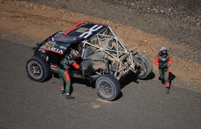 Loeb in great difficulty, Variawa and Santolino winners