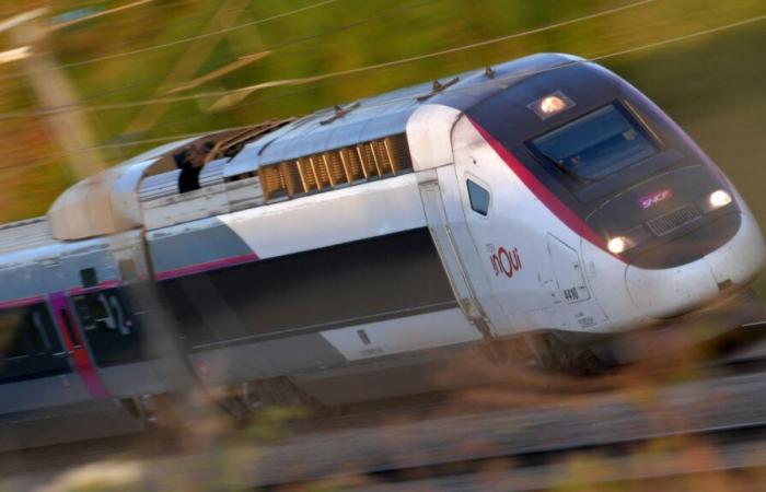 Tickets for TGV Inoui and Ouigo trains will increase from January 8 by 1.5% on average