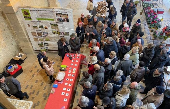 The truffle markets have started in Lot-et-Garonne: here are the next events