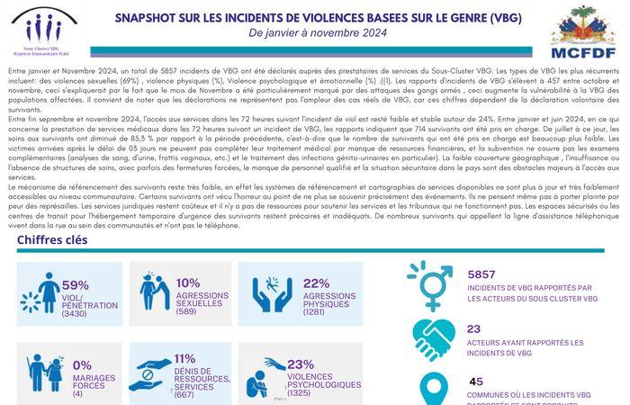 Snapshot on incidents of Gender-Based Violence (GBV) (January to November 2024) – Dominican Republic