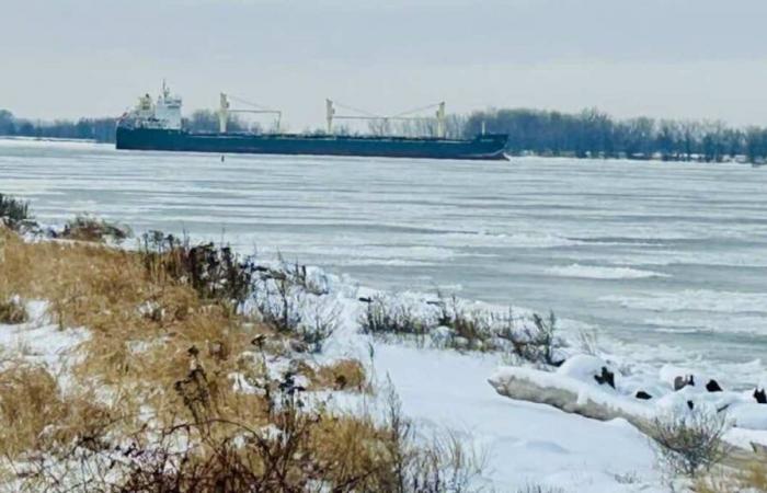 Boat stranded in the St. Lawrence: the refloating operation began Tuesday morning