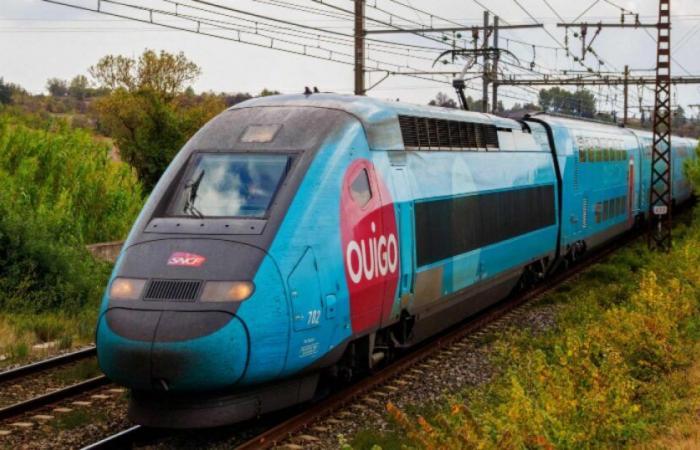 SNCF: unions warn about the state of TGV Ouigo trains: News