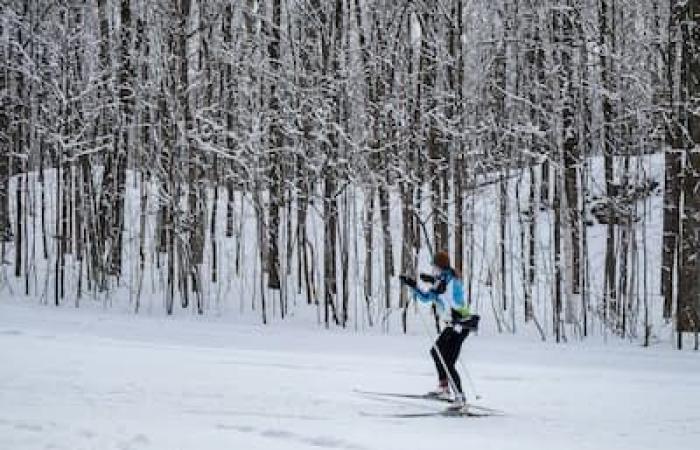 6 beautiful places for free cross-country skiing in Quebec