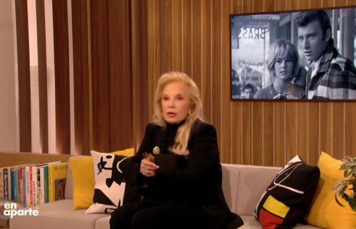 these vile criticisms suffered before the birth of David told by Sylvie Vartan