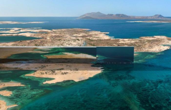 the worrying gray areas behind the gigantic Neom project