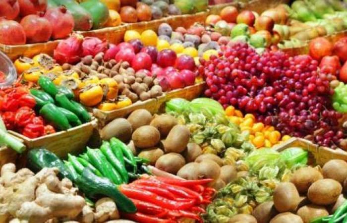 Morocco shines in the African food security ranking – Consonews