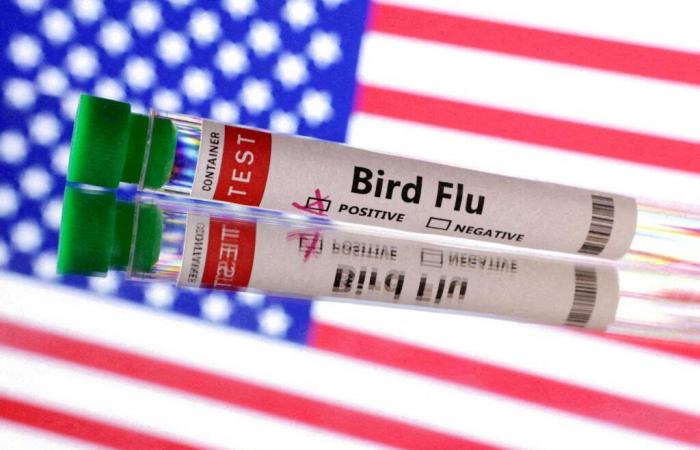 The United States reports first human death linked to bird flu