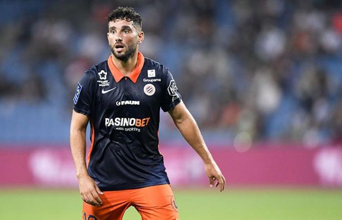 the referee made the right decision on the disallowed goal in Montpellier