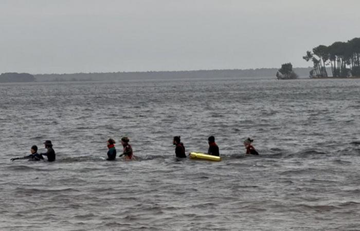 water walking is attracting more and more fans at the lake and at the ocean