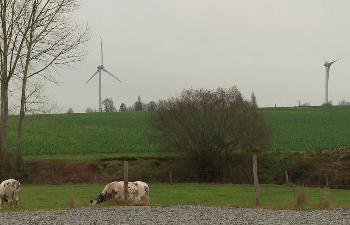 “We have wind potential”, Mayenne, champion of carbon-free energy