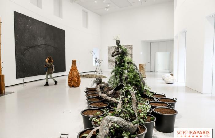 Arte Povera: the exhibition on the Italian artistic movement at the Bourse de Commerce – last days