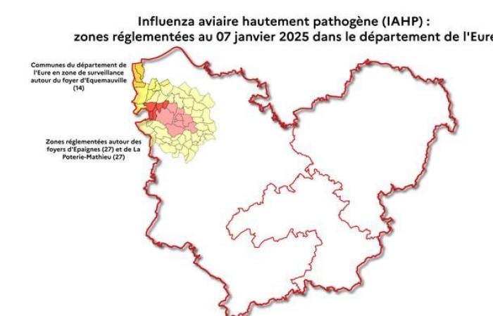 Highly pathogenic avian influenza (HPAI): a second case confirmed in Eure – News