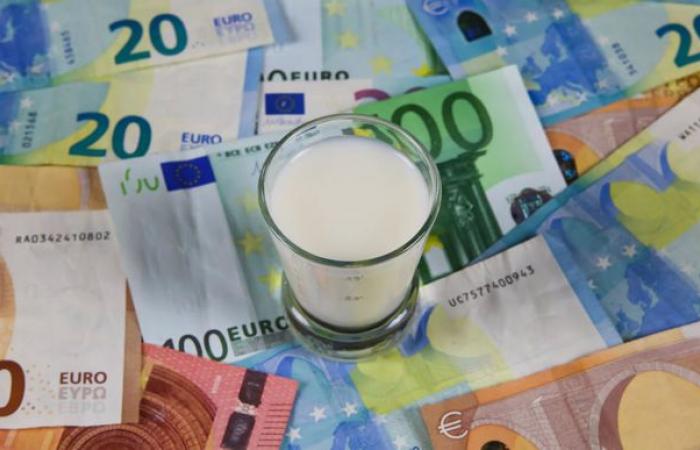 The price of milk in the EU reached 517 €/t in October