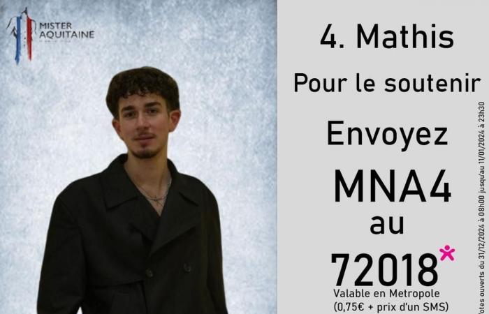 Who will be the next Mister Aquitaine? Response during the election Saturday January 11 in Bordeaux