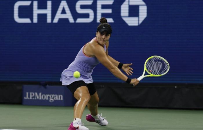 Bianca Andreescu’s absence from the Australian Open highlights ongoing difficulties as WTA stars bow out.