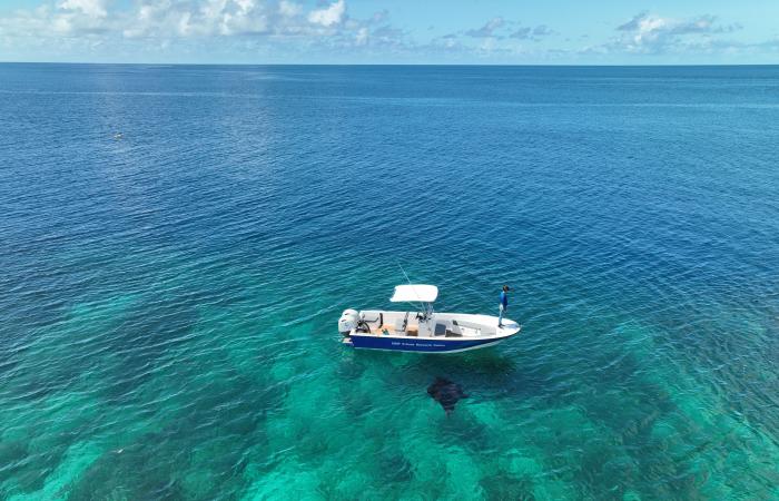 Paradise as a workplace: a Swiss woman explores the ocean in Seychelles