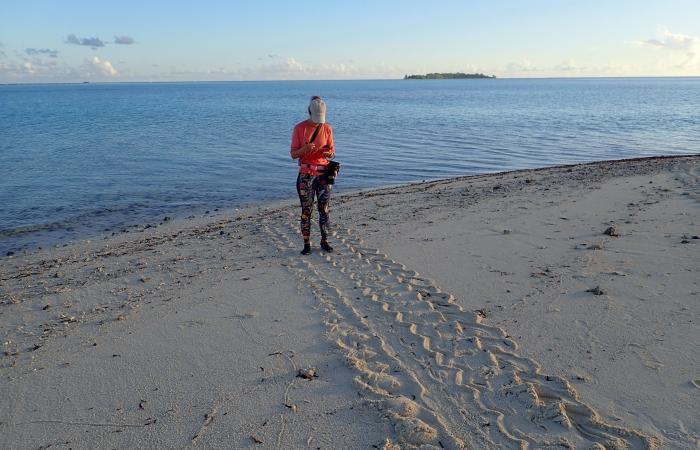 Paradise as a workplace: a Swiss woman explores the ocean in Seychelles