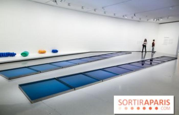 Arte Povera: the exhibition on the Italian artistic movement at the Bourse de Commerce – last days