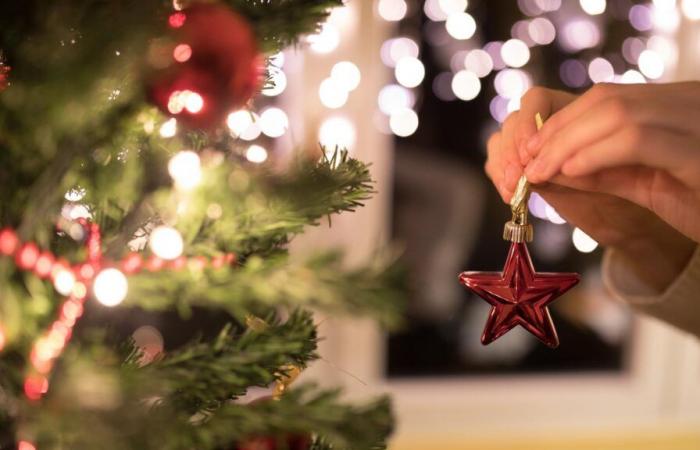 In Belgium, the city of Ghent invites residents to eat their Christmas tree and is reframed