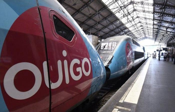 “Equipment failures, cockroaches and bedbugs”: SNCF unions denounce the state of the Ouigo TGV trains calling them “wrecks”