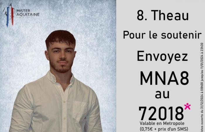 Who will be the next Mister Aquitaine? Response during the election Saturday January 11 in Bordeaux