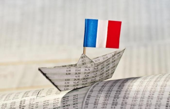 What future for the French economy?