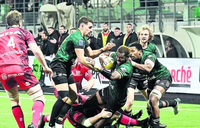 Pro D2. Montauban regains his strength before going to the first