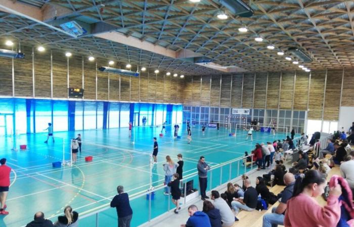 More than 200 athletes expected for the 4th edition of the Bouriane badminton tournament