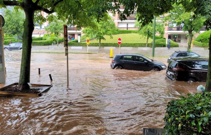 A regional emergency response plan put in place in the event of flooding in Brussels