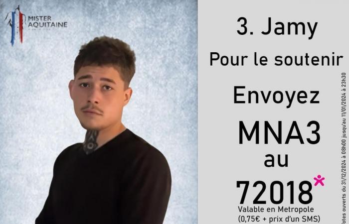 Who will be the next Mister Aquitaine? Response during the election Saturday January 11 in Bordeaux