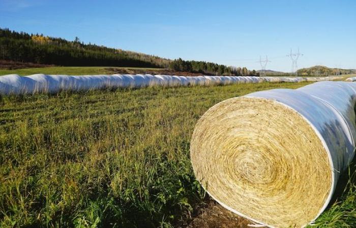 Worried agricultural and forestry producers in Outaouais and eastern Ontario