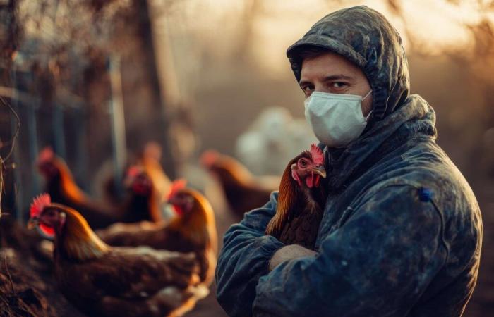 A man died from bird flu in the United States: should we be worried?