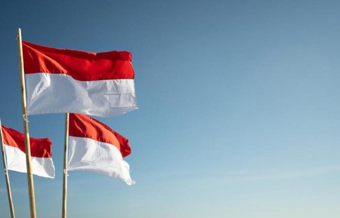 Indonesia “welcomes” its entry into the bloc of emerging countries