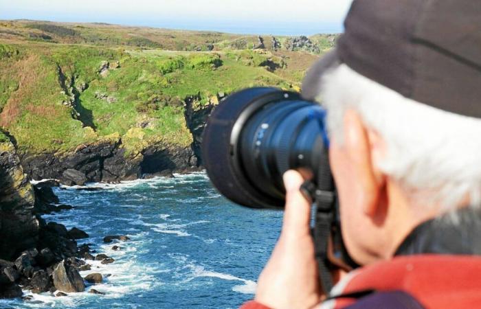 At the Groix Nature Reserve, the year 2025 takes flight with the birds