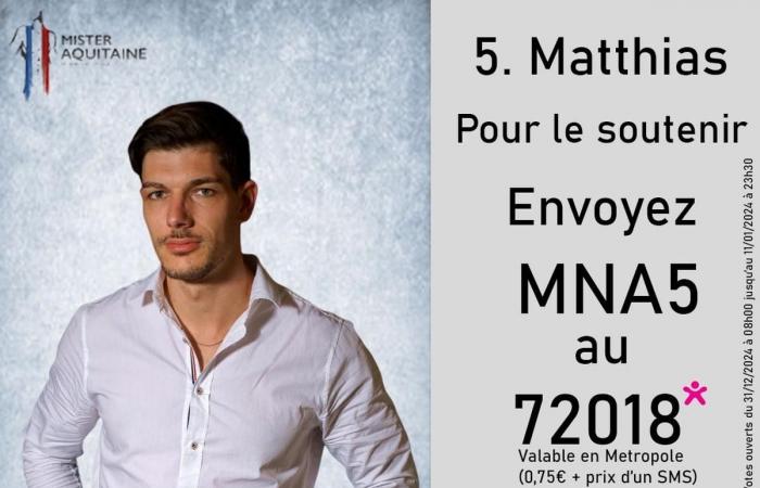 Who will be the next Mister Aquitaine? Response during the election Saturday January 11 in Bordeaux