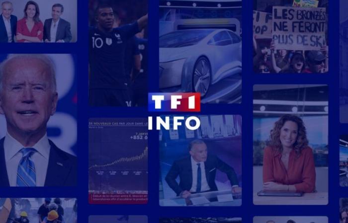 Vidéos – Replay TF1 | TF1 INFO