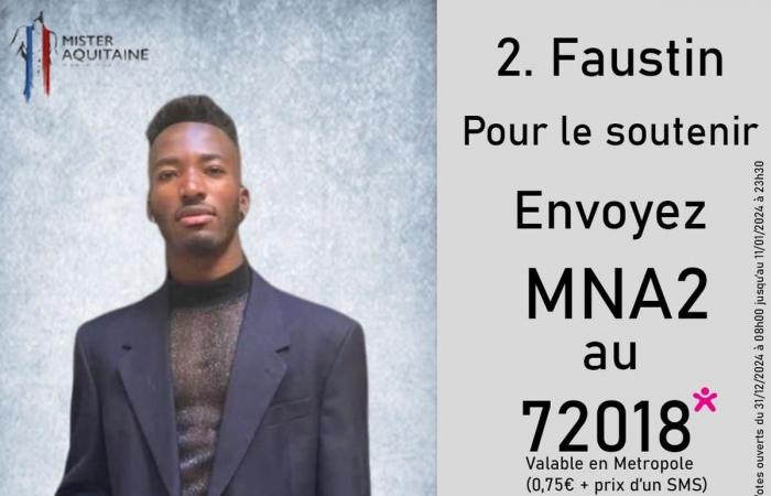 Who will be the next Mister Aquitaine? Response during the election Saturday January 11 in Bordeaux