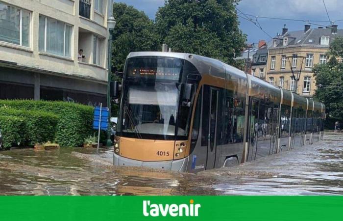 What to do if Brussels takes on water? The Brussels Region validates its emergency plan in the event of flooding